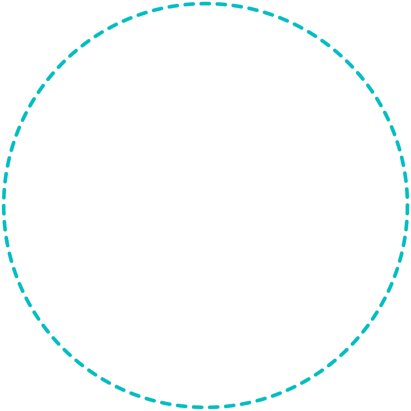 A dashed turquoise circle on a white background.